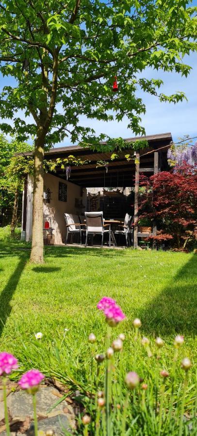 Apartment Rose Fritzlar Kültér fotó